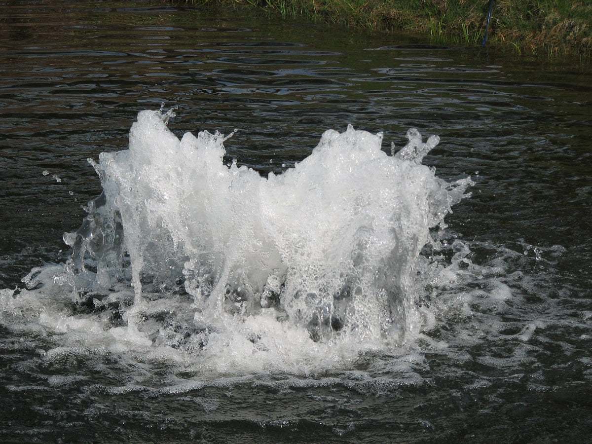 Scott Aerator Boiler Maker Pond Aerator