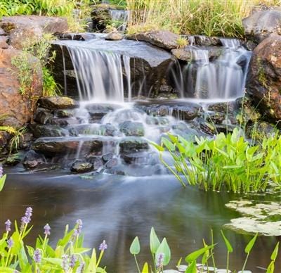 Big Frog Pump™ waterfall display
