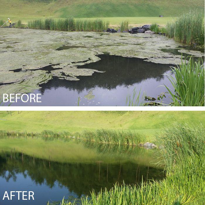 Kasco-MacroZyme-before-and-after-product-use