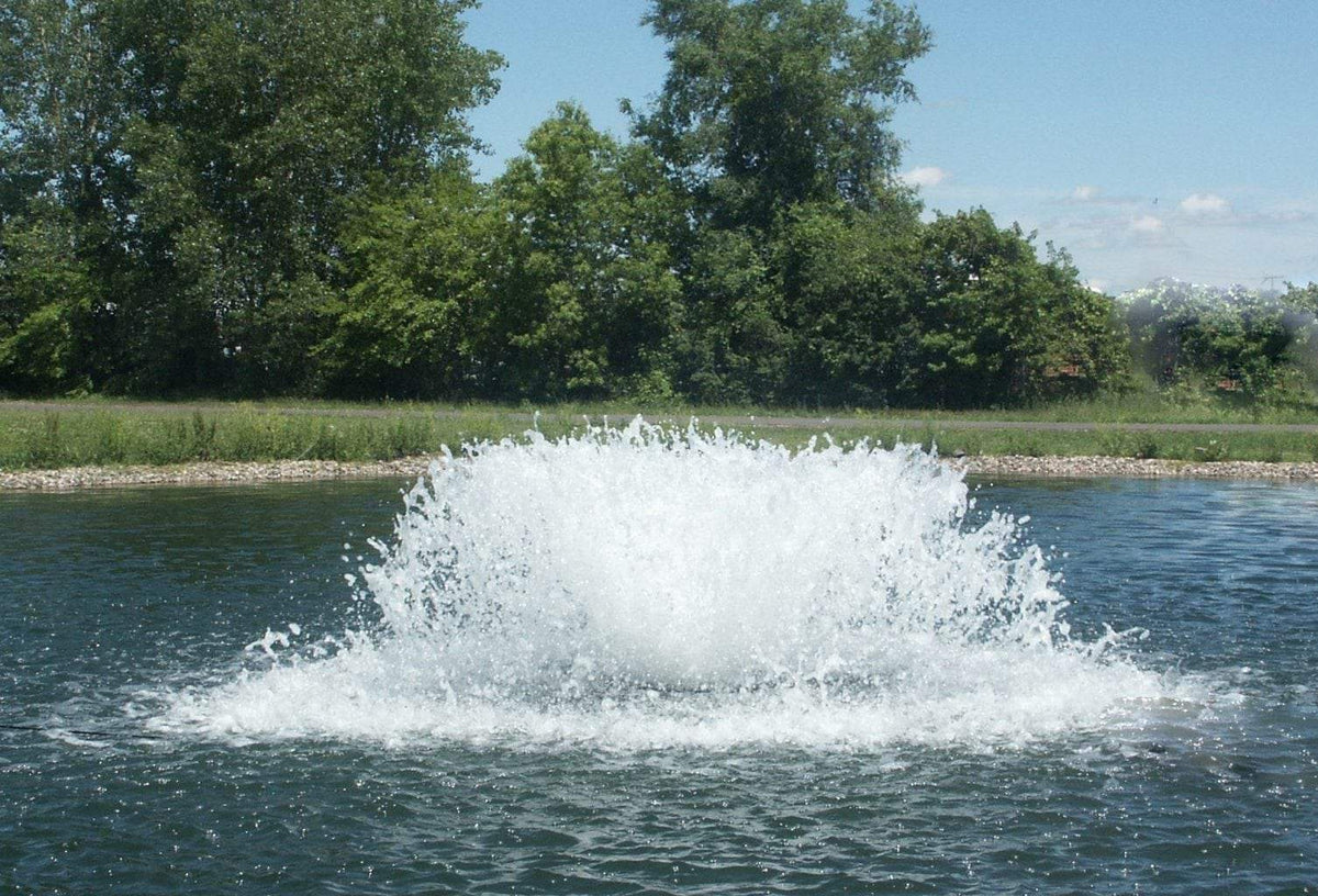 Surface Aerators 1/2HP (120V)-Model 2400A/2400AF/2400AF (BTM SCR)