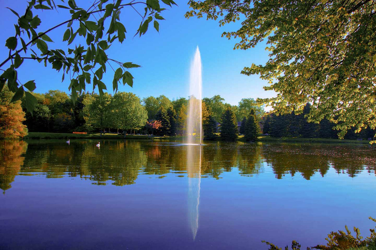 Scott Aerator Gusher Fountain 230V
