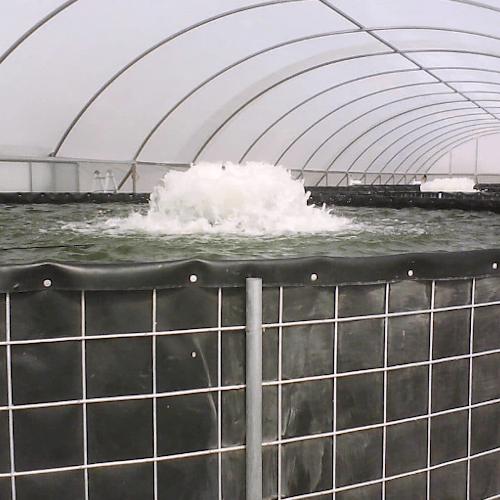 Surface Aerators 1/2HP (120V)-Model 2400A/2400AF/2400AF (BTM SCR)