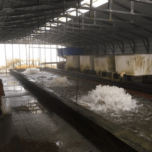 Surface Aerators 3/4HP (240V)-Model 3400HA/3400HAF/3400HAF (BTM SCR)
