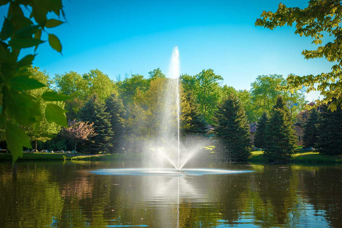 Scott Aerator Skyward Fountain 1-1/2 hp 230V