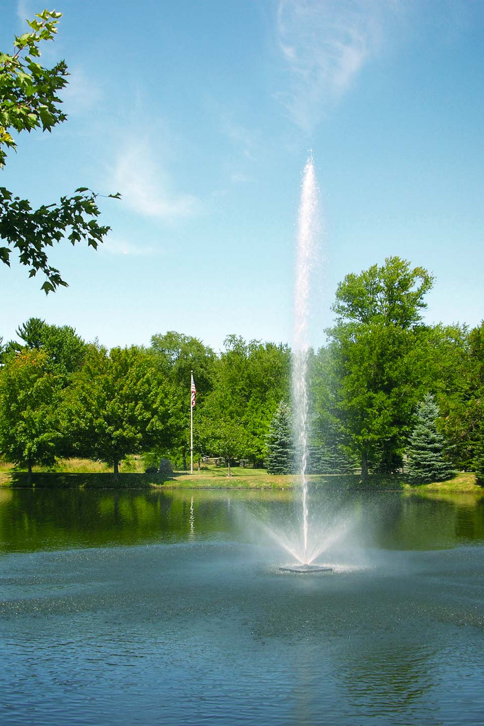 Scott Aerator Skyward Fountain 1-1/2 hp 230V