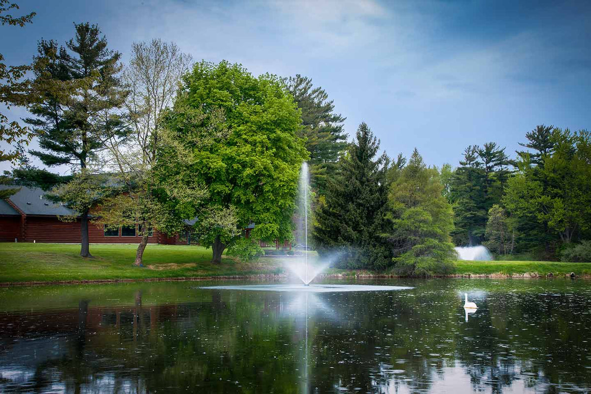 Scott Aerator Skyward Fountain 1-1/2 hp 230V
