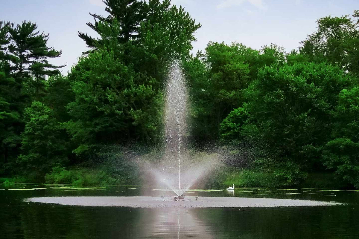 Scott Aerator Skyward Fountain 1/2-hp 115V-230V