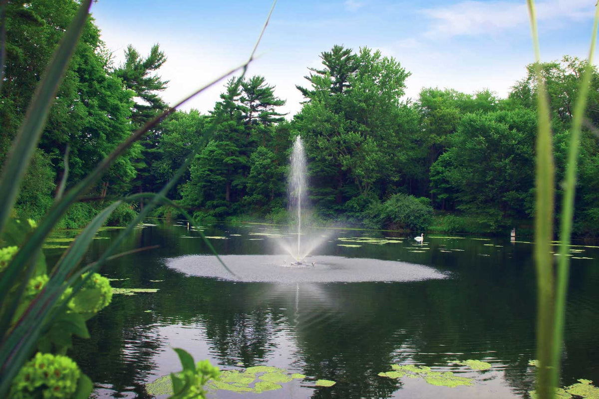 Scott Aerator Skyward Fountain 1/2-hp 115V-230V