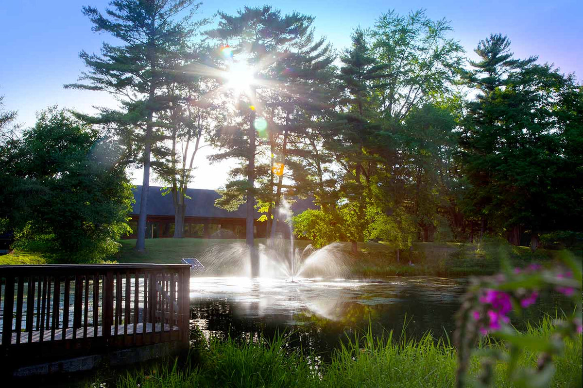 Scott Aerator Skyward Fountain 1/2-hp 115V-230V