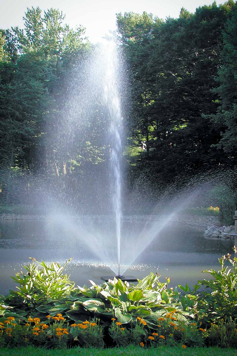 Scott Aerator Skyward Fountain 1/2-hp 115V-230V