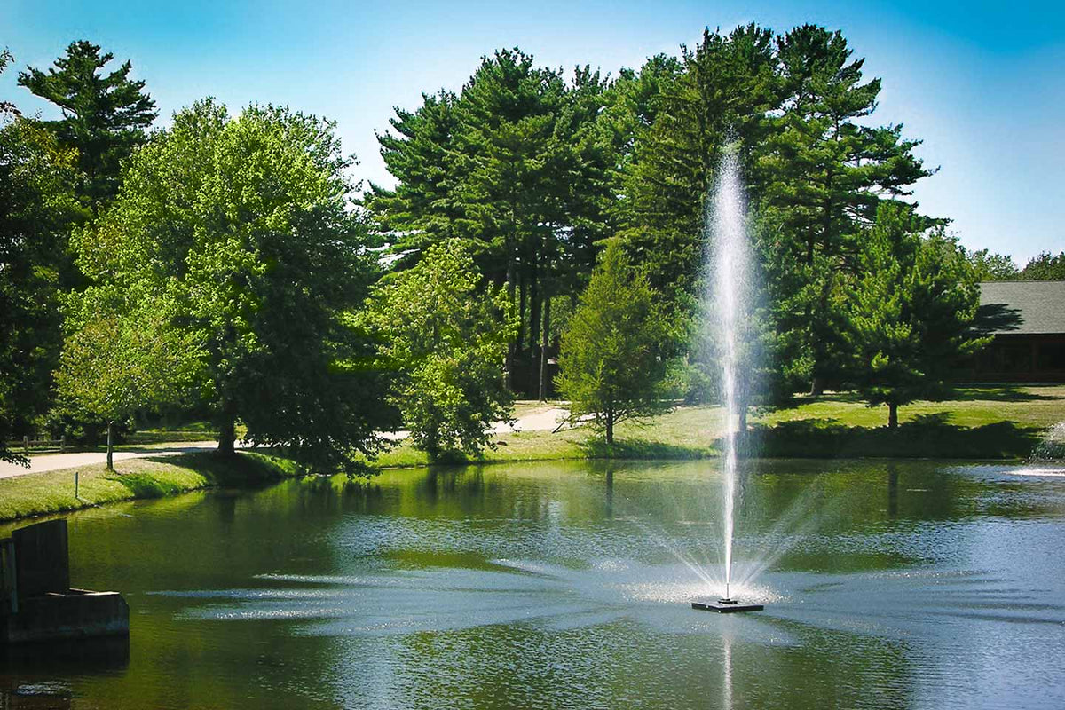 Scott Aerator Skyward Fountain 1/2-hp 115V-230V