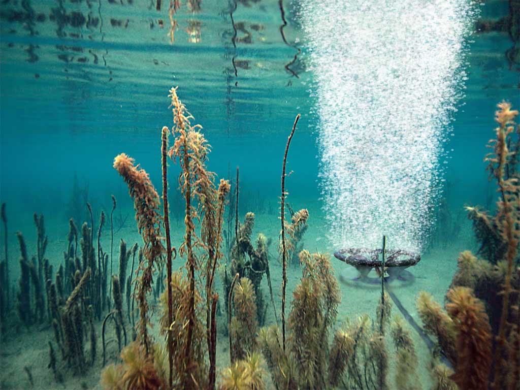 Scott Aerator Bubble Pro Sub Surface Aerator Replacement Parts