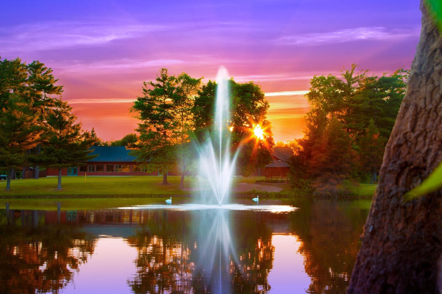 Scott Aerator Atriarch Fountain