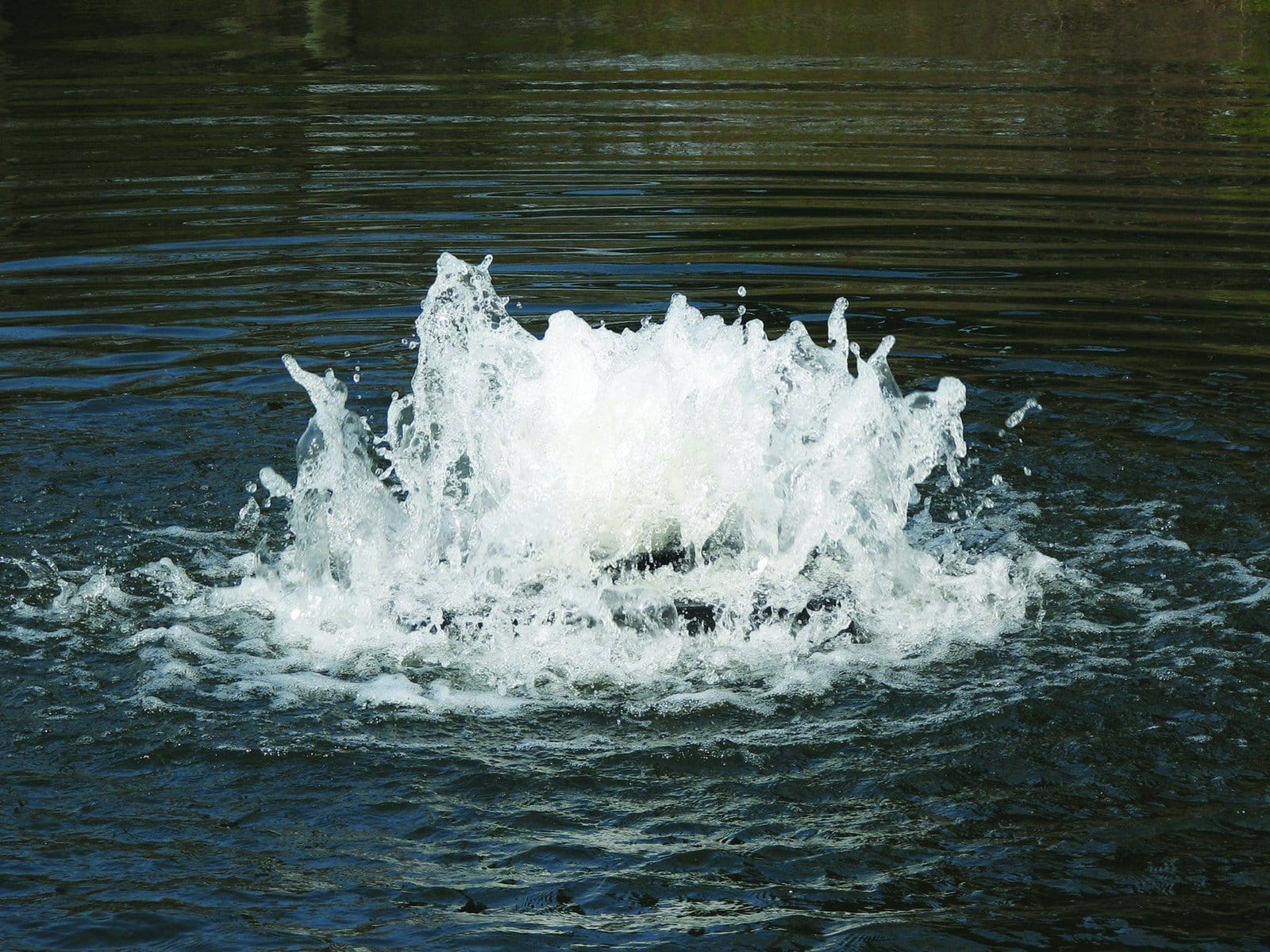 Scott Aerator Boiler Maker Pond Aerator